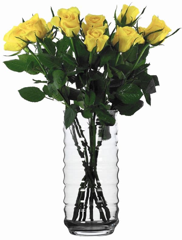 Flower Vase 26.5cm , Solavia Glassware