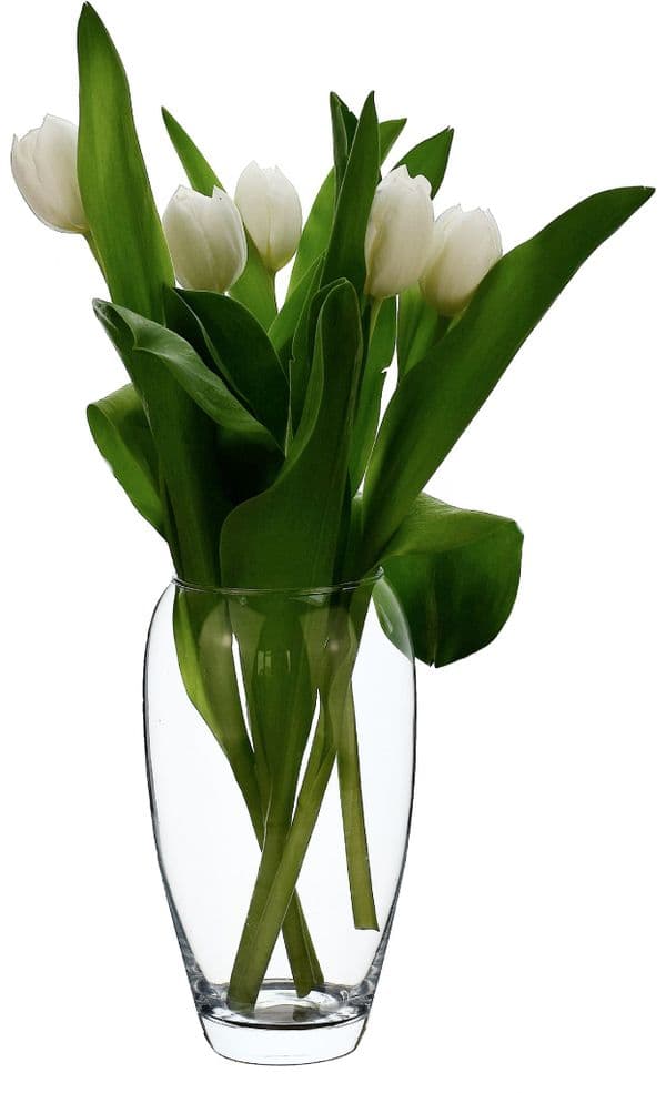 Glass Bullet Vase 20cm, Solavia Glassware