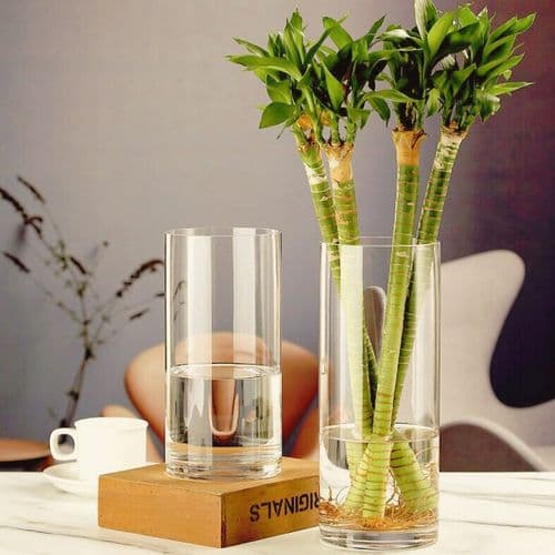 Glass Cylinder Vase 30cm