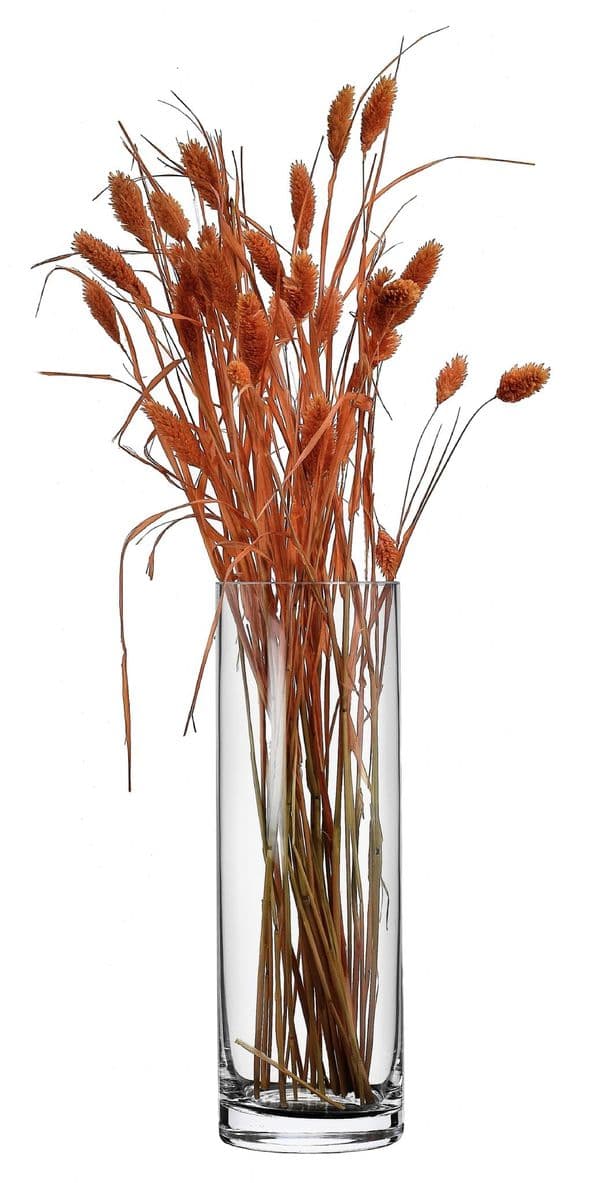 Glass Cylinder Vase 30cm , Solavia Glassware Home Décor Vases