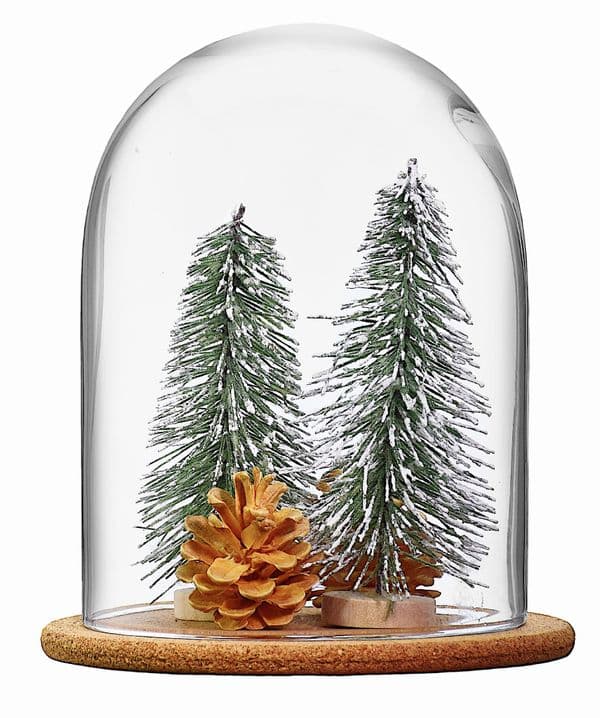 Glass Dome and Cork Base 21cm – Perfect for Single Stem Rose Solavia Glassware