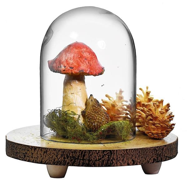 Glass Dome Cloche 21cm – Perfect for Homemade Cakes, Solavia Glassware