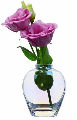 Glass Iridescent Vase 9cm