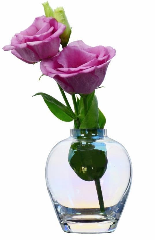 Glass Iridescent Vase 9cm, Solavia Glassware Drop Vases