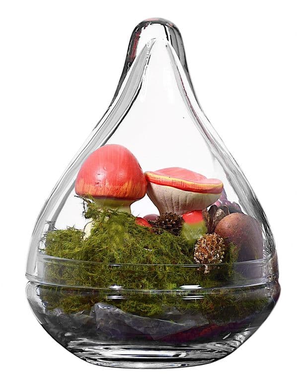 Glass Jar And Lid 20cm – Serene Home Gifts by Solavia