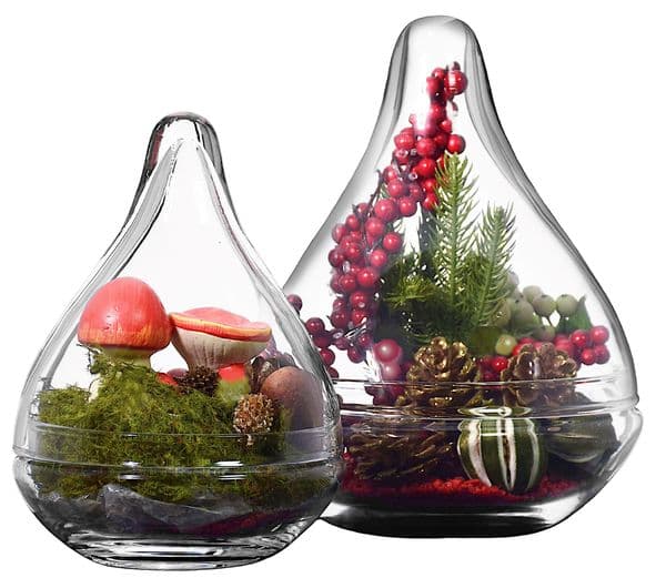 Glass Jar and Lid Planter Set of 2 – Novel Gift Ideas by Solavia