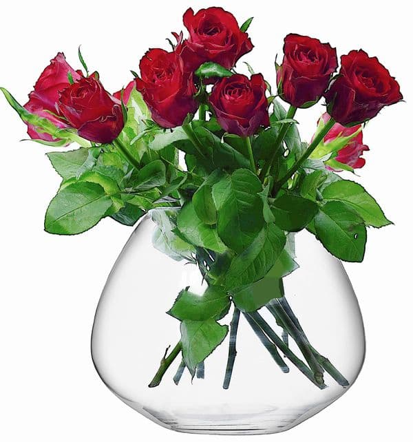 Glass Oval Vase 20cm, Solavia Glassware Flower Décor