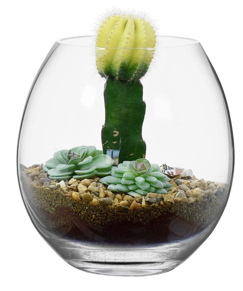 Glass Planter Bowl 21cm, great for home projects, Solavia Glassware