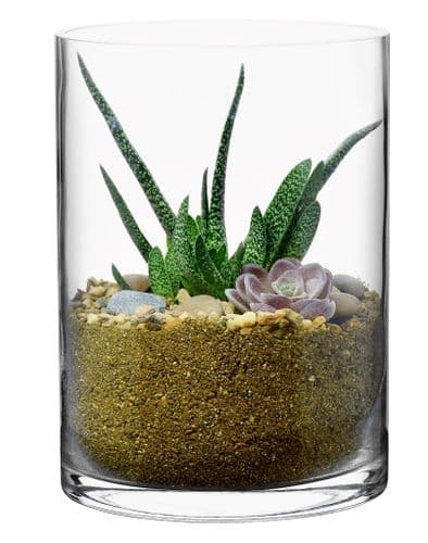 Glass Planter Cylinder Vase 24cm