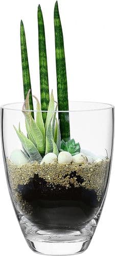 Glass Planter Vase 17cm
