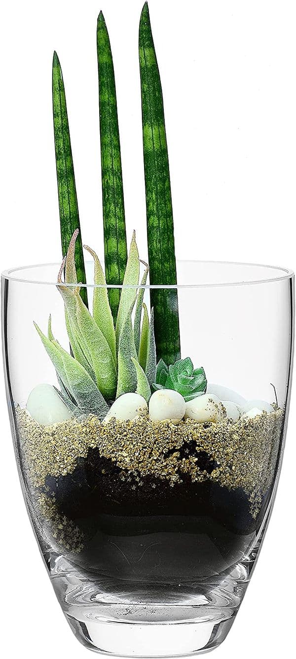 Glass Planter Vase 17cm, Solavia Glassware Home DIY Projects