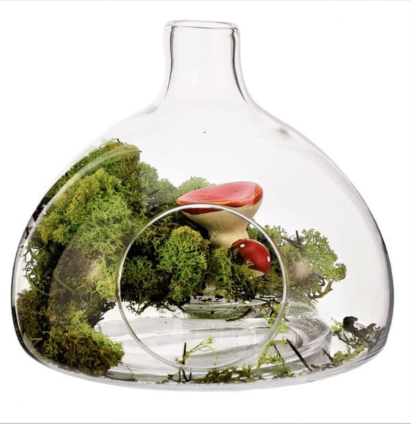 Glass Planter Vase 20cm – Candle Holder – Christmas Gift Ideas by Solavia