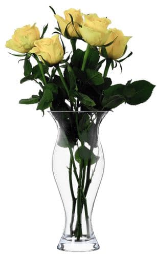 Glass Single Stem Vase 25cm