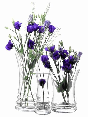 Glass Vase Set of 3