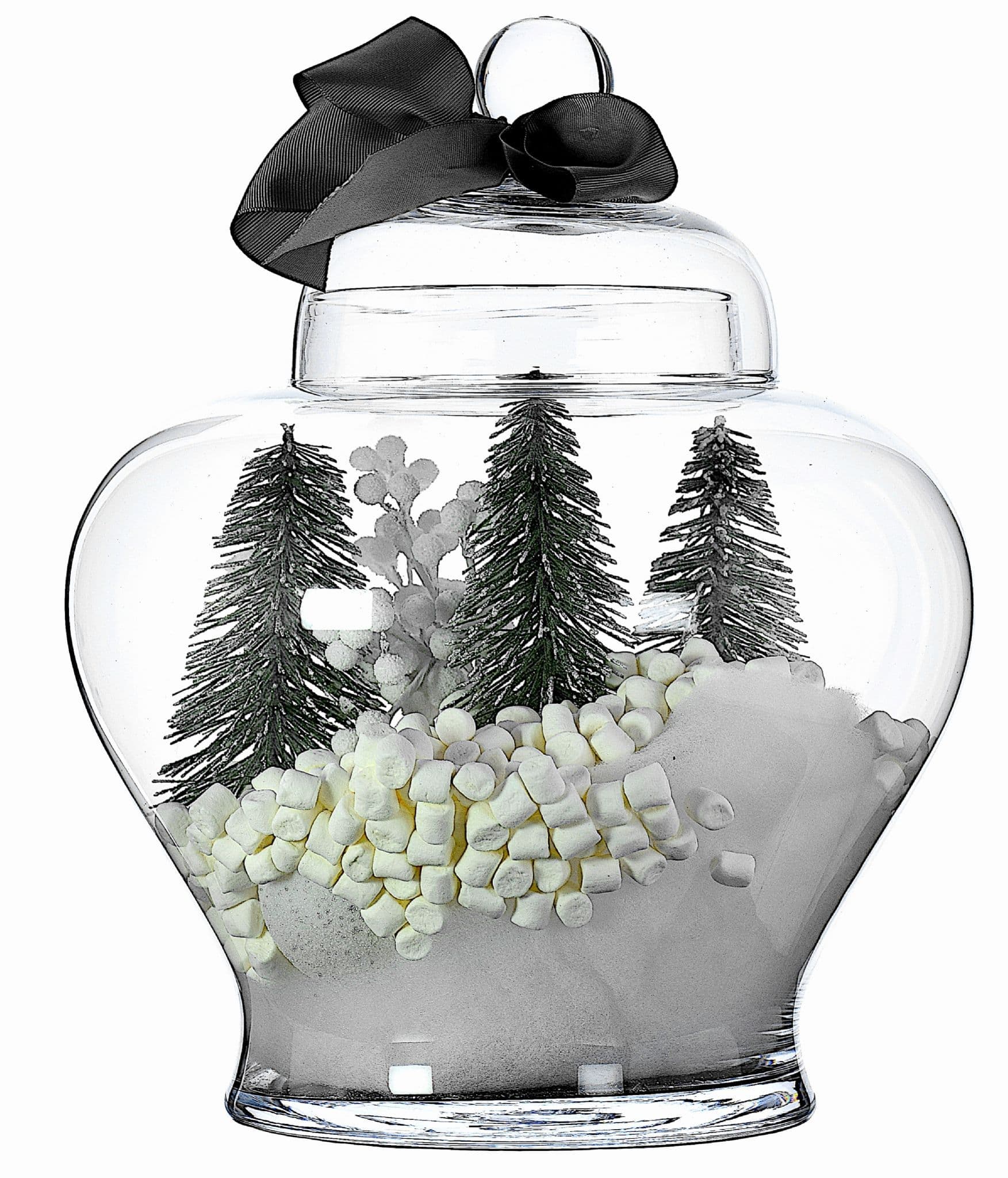 Large Glass Ginger Jar 35cm With Lid Housewarming Gifts by Solavia