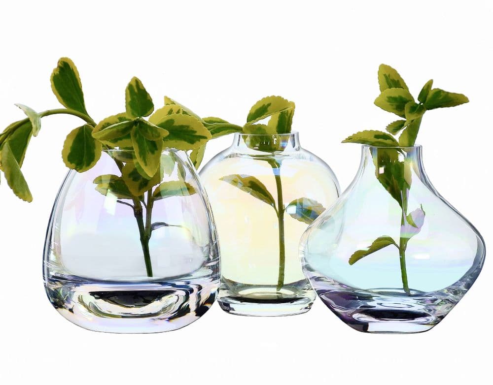 Mini Iridescent Glass Vase Set Of 3 Mother’s Day Gifts by Solavia