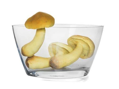 Oval Dish Bowl 20cm Hera