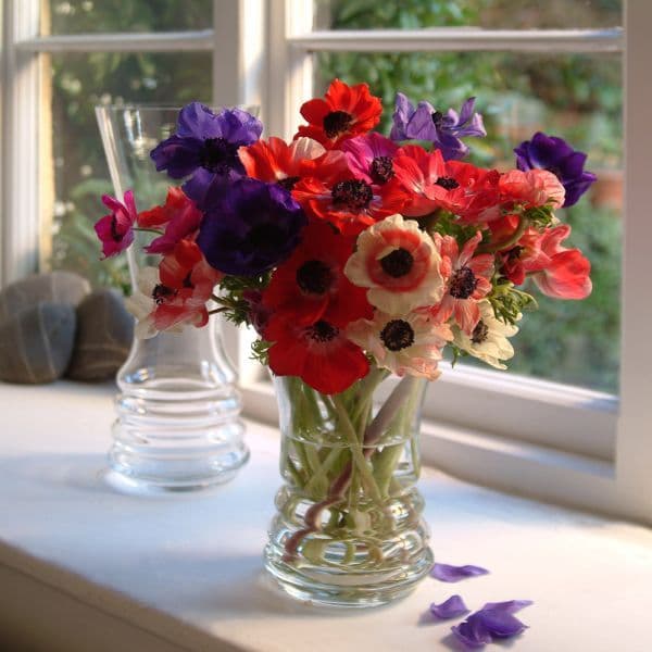 Single Stem Ribbed Vase 16cm-Platinum, Solavia Glassware giftware