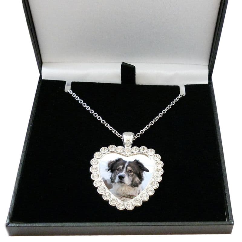 Pet Loss Memorial Heart Necklace with Any Photo, Gift Boxed | Someone Remembered