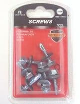 TOR-04622 Tornillos autorroscante 6,3x25mm con cabeza hexagonal y arandelas metal y goma