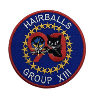 Astronaut Class 13 (ASCAN) Patch