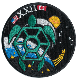 Astronaut Class 22 (ASCAN) Patch