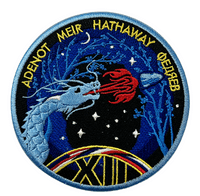 Crew 12 Mission Patch