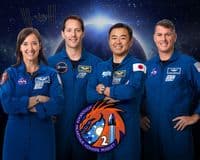 Crew 2 Official Portrait