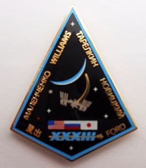 Expedition 33 ISS International Space Station Mission Lapel Pin Official NASA