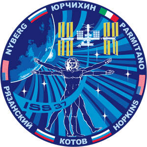 Expedition 37 Mission Decal