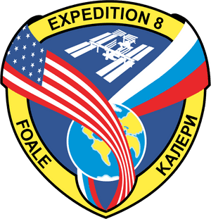 Expedition 8 mission decal