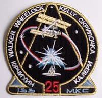 International Space Station Expedition 25 Patch