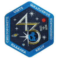 International Space Station Expedition 43 Embroidered Mission Patch