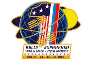 ISS Expeditions '1 Year Mission Pin' - Official NASA Edition