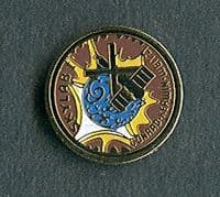 Skylab Program 2 Lapel Pin