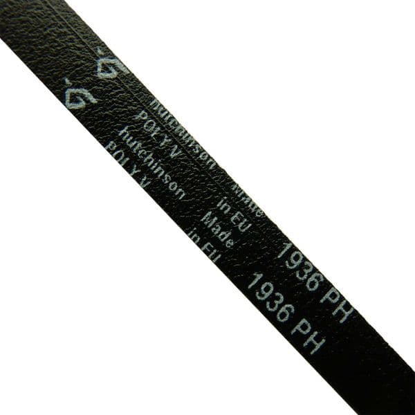 Whirlpool Tumble Dryer Drive Belt AWZ7303, AWZ7813, AWZ7814, AWZ7814AL