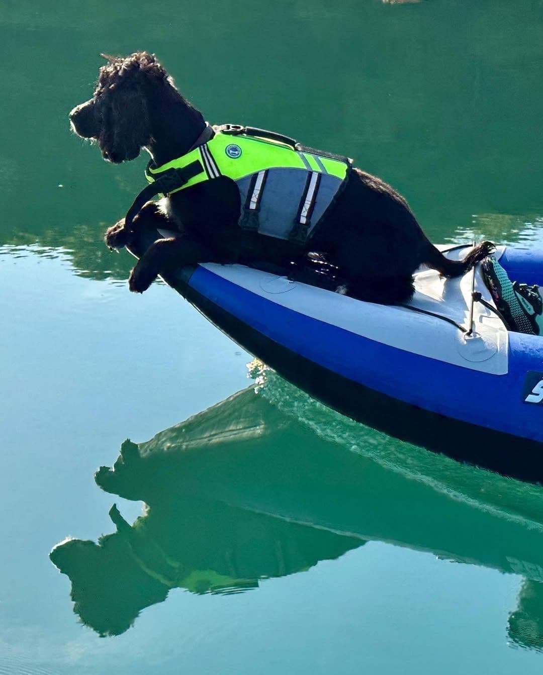 Best Dog Friendly Sea Eagle Inflatable Kayaks 