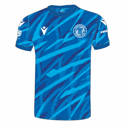 Ashridge Park Bespoke Training Shirt