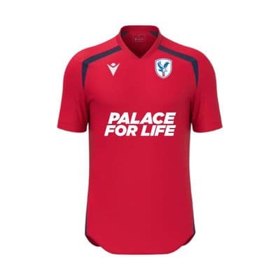 Palace for Life Academy Wyrm Shirt