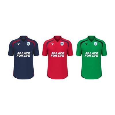 Palace for Life PDC Wyrm Shirt