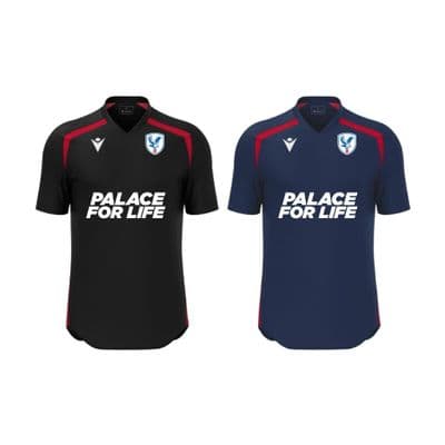 Palace for Life Post 16 Wyrm Shirt