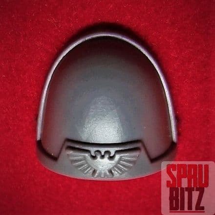 Space Marine Tactical Squad Shoulder Pad (D)