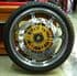 MD821X EBC X Series TRIUMPH Bonneville T214 Newchurch & SE Front Brake Disc: Mag Wheel Models KBA/TuV. Plus 5 Disc Bolts!!