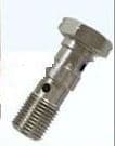 Triumph Banjo Bolt for FRONT Caliper - Titanium Steel (Double Hose)