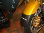 Triumph Tiger 955i Fender Extender: Front Mudguard Extender 1999-06