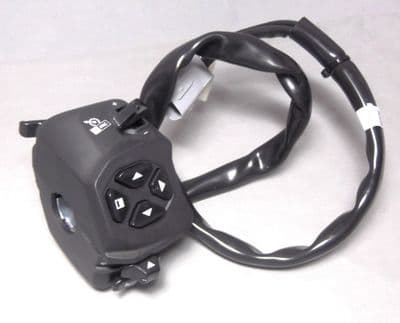 Aprilia RS660 / RSV4  LH Handlebar Switch 2D000548