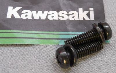 Genuine Kawasaki Phillips Pan-head Screw Black 6x20mm 223C0620