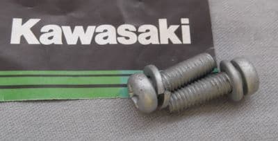 Genuine Kawasaki Phillips Pan-head Screw Geomet finish 6x20mm 223X0620