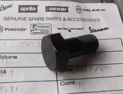 Genuine Moto Guzzi Bevel Gear Bolt GU12356300