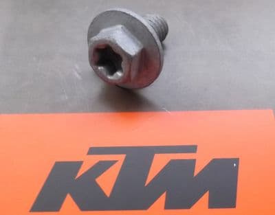 KTM Flanged Torx Socket Head HH Collar Screw M6x10 0024060106